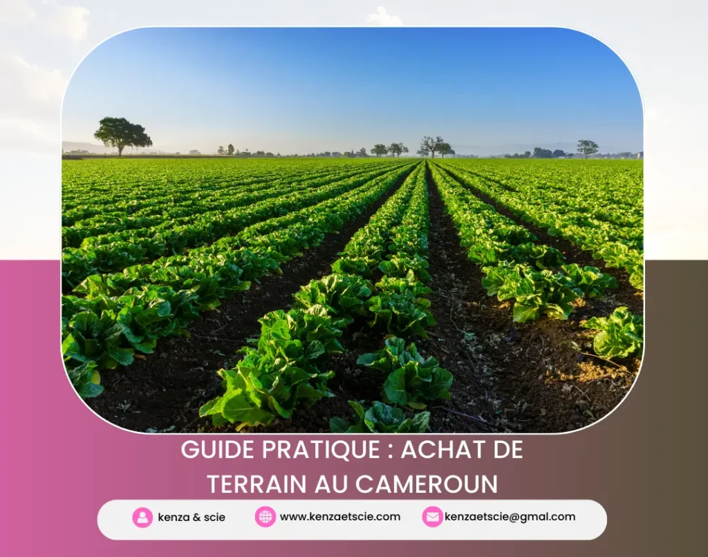 Achat de terrain au Cameroun : le guide pratique